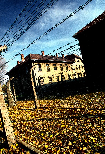 Auschwitz: lest we forget