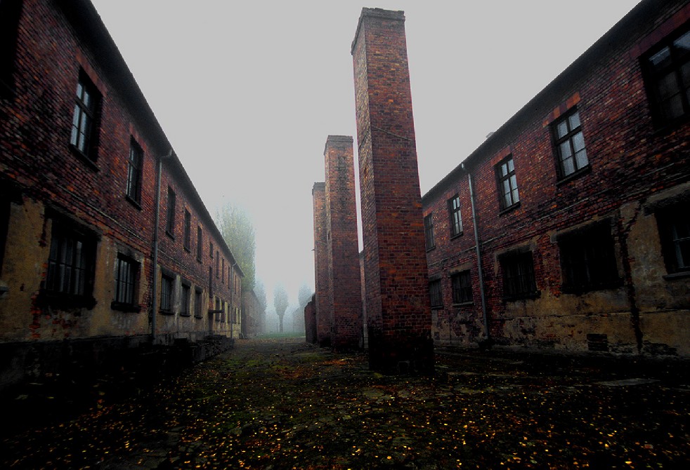 Auschwitz: lest we forget