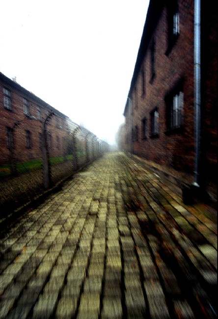 Auschwitz: lest we forget