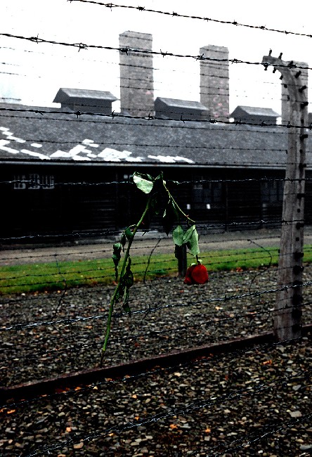 Auschwitz: lest we forget