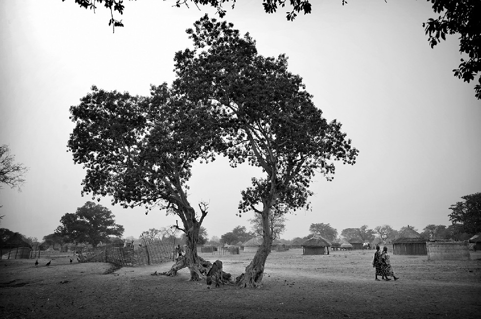 The Forgotten Heart of Africa 