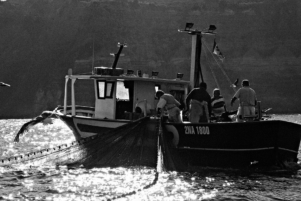 The Fishermen 