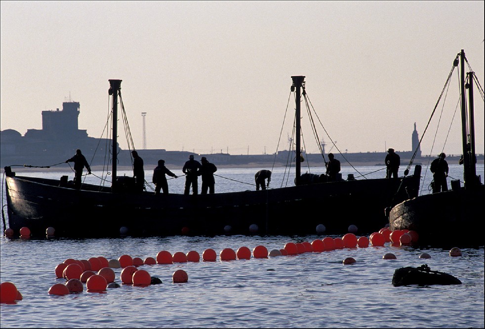 The Samurais Of The Sea 