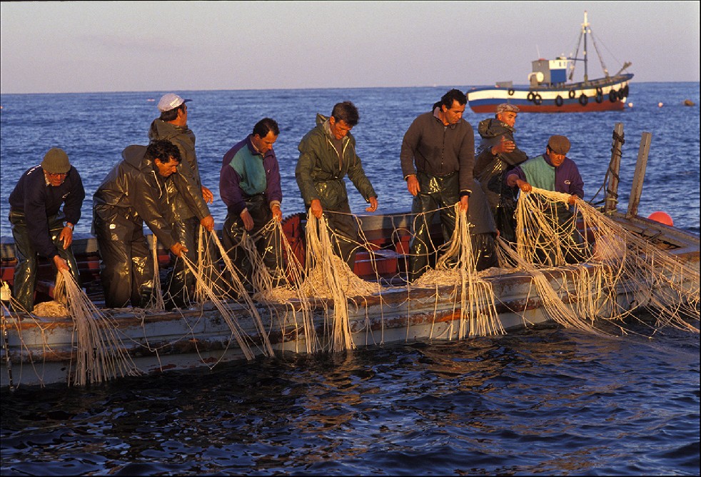 The Samurais Of The Sea 