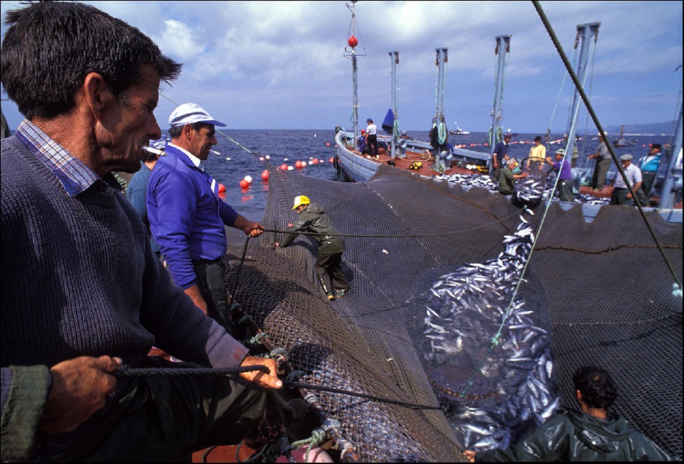 The Samurais Of The Sea 