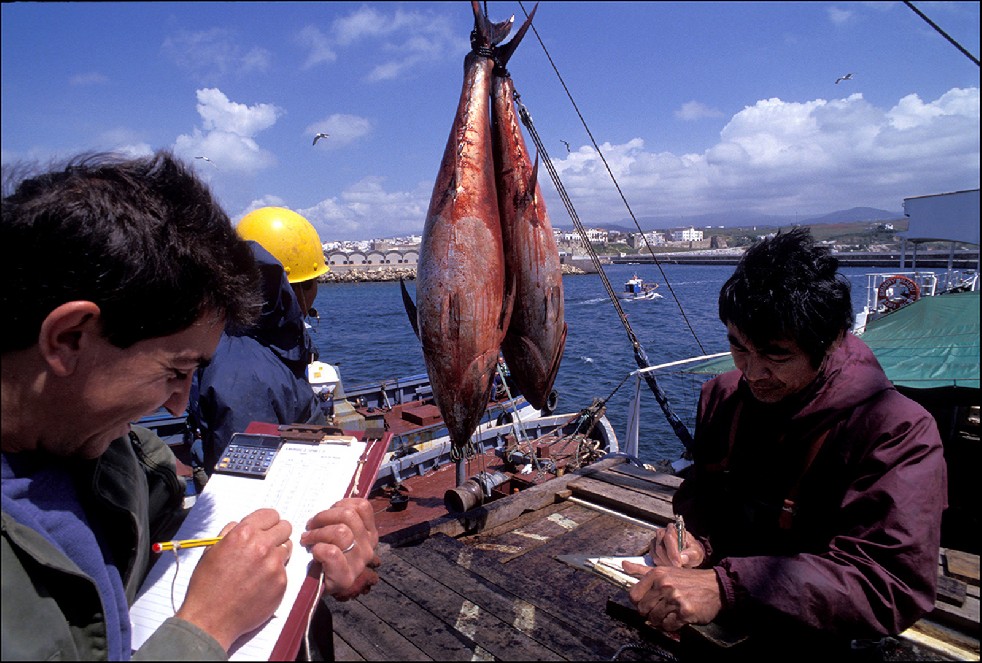 The Samurais Of The Sea 