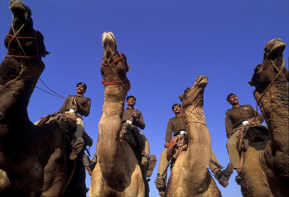 Desert Sentries 