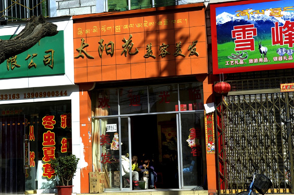Tibet is Dying 