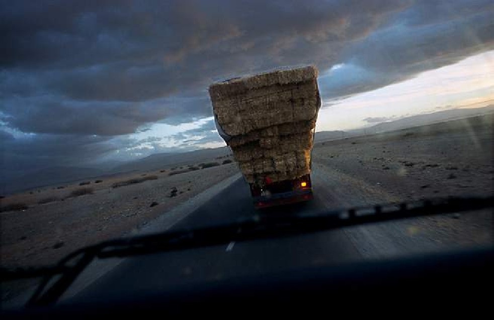 Lorry Drivers