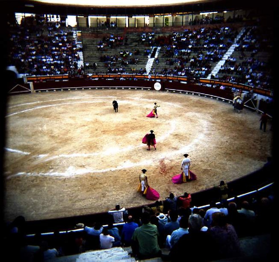 Afternoon in a Bullring 