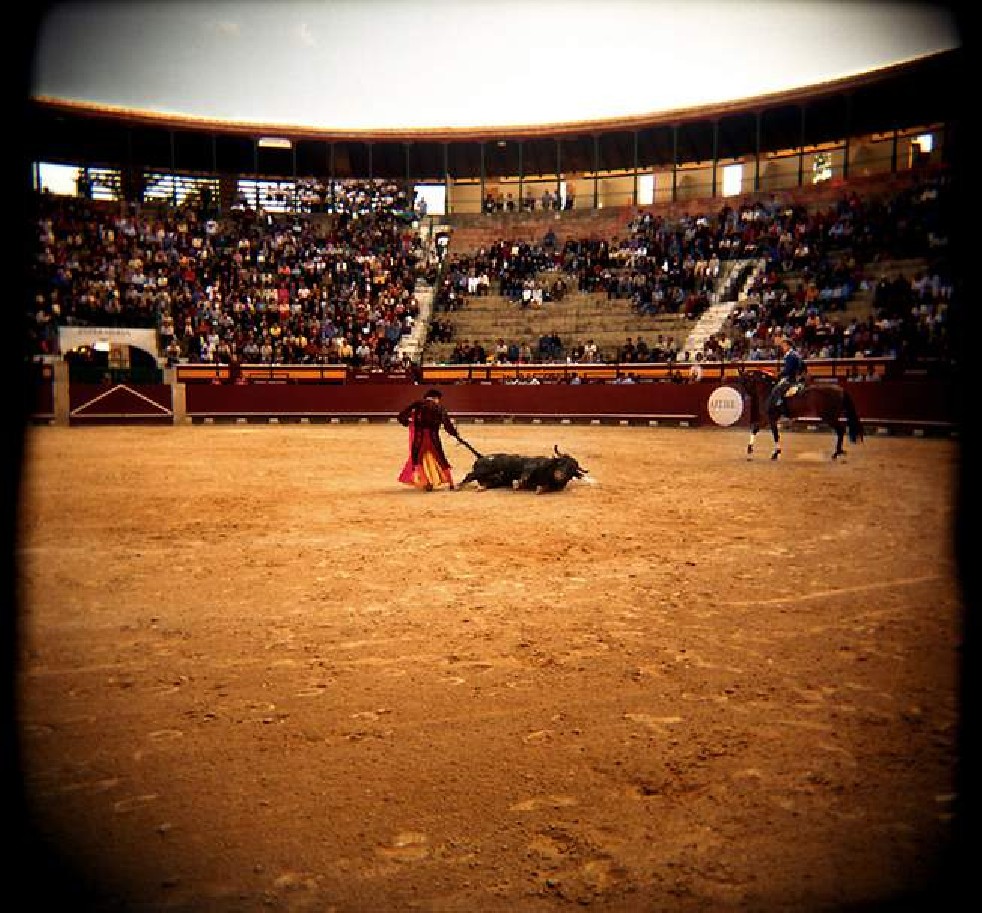 Afternoon in a Bullring 