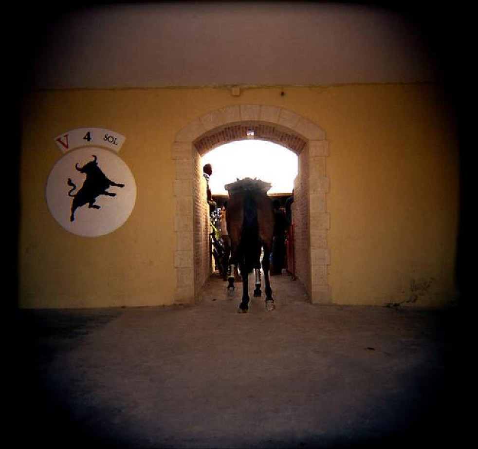 Afternoon in a Bullring 