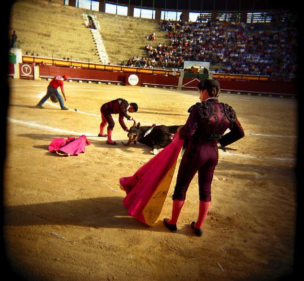 Afternoon in a Bullring 