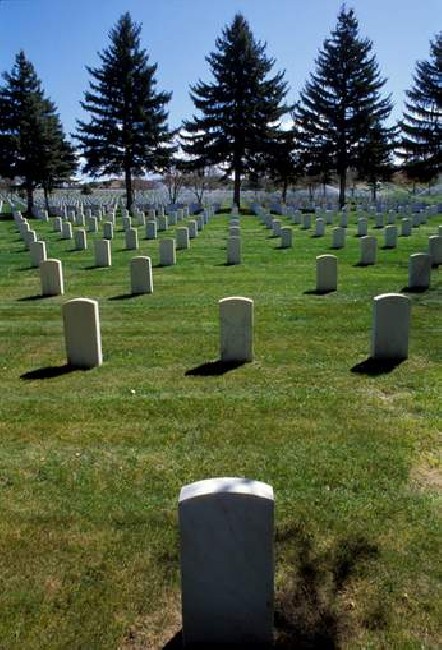 The Forgotten Warriors