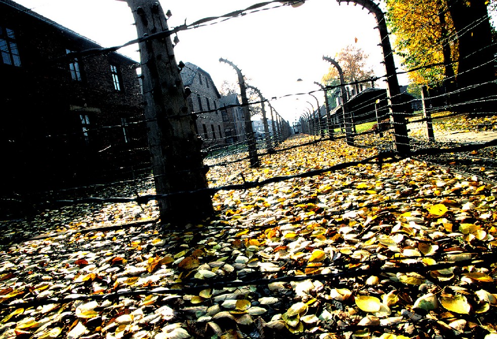 Auschwitz: lest we forget